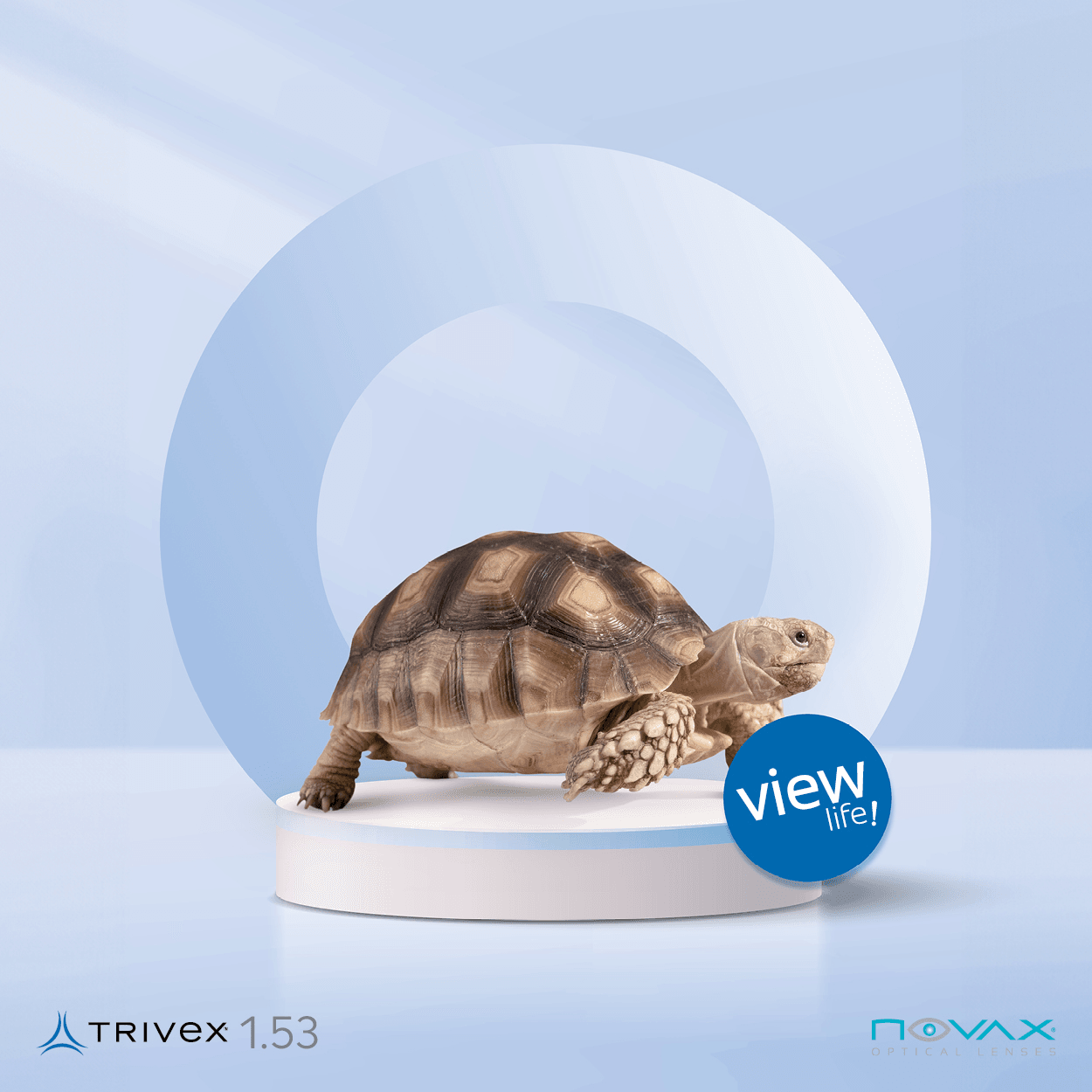 Trivex Spectacle Lenses | Beta Optik